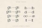 Galore - Elegant Modern Serif, a Serif Font by TypeFounder (Thumbnail 8 of 12)