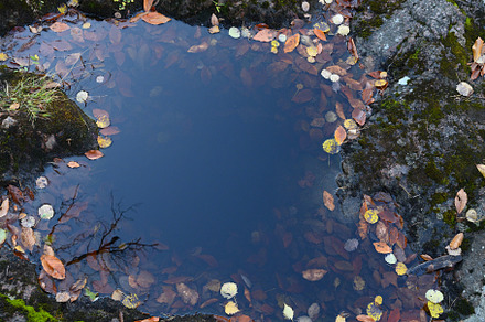 Puddle of water in stone