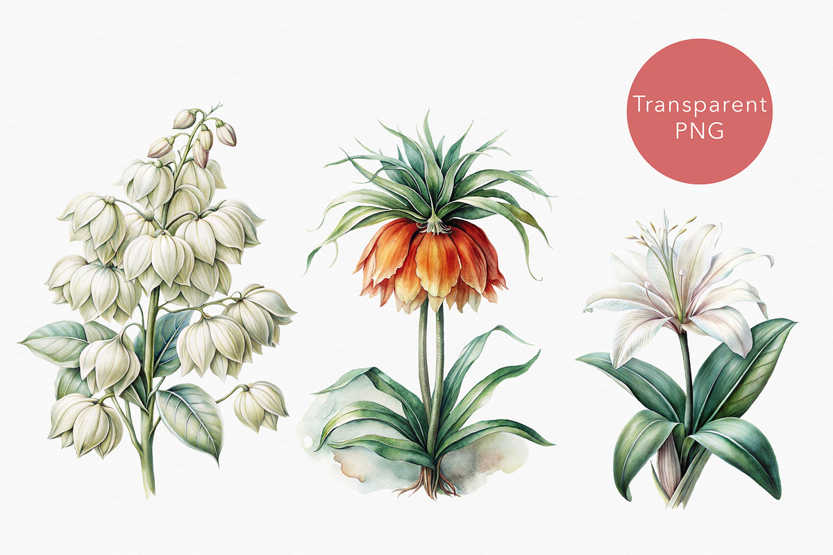 Tropical rainforest clip art set, a Seasonal Illustration by FleurArt (Photo 4 of 12)