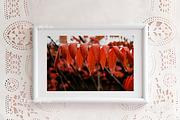 white horizontal frame mockup 11x17, a Print Template by Leo Flo Mockups (Thumbnail 4 of 5)