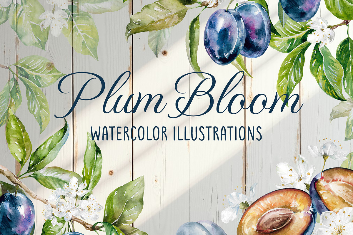 Blooming plum watercolor clipart, a Decorative Illustration by Eva Kleinman (Photo 1 of 14)