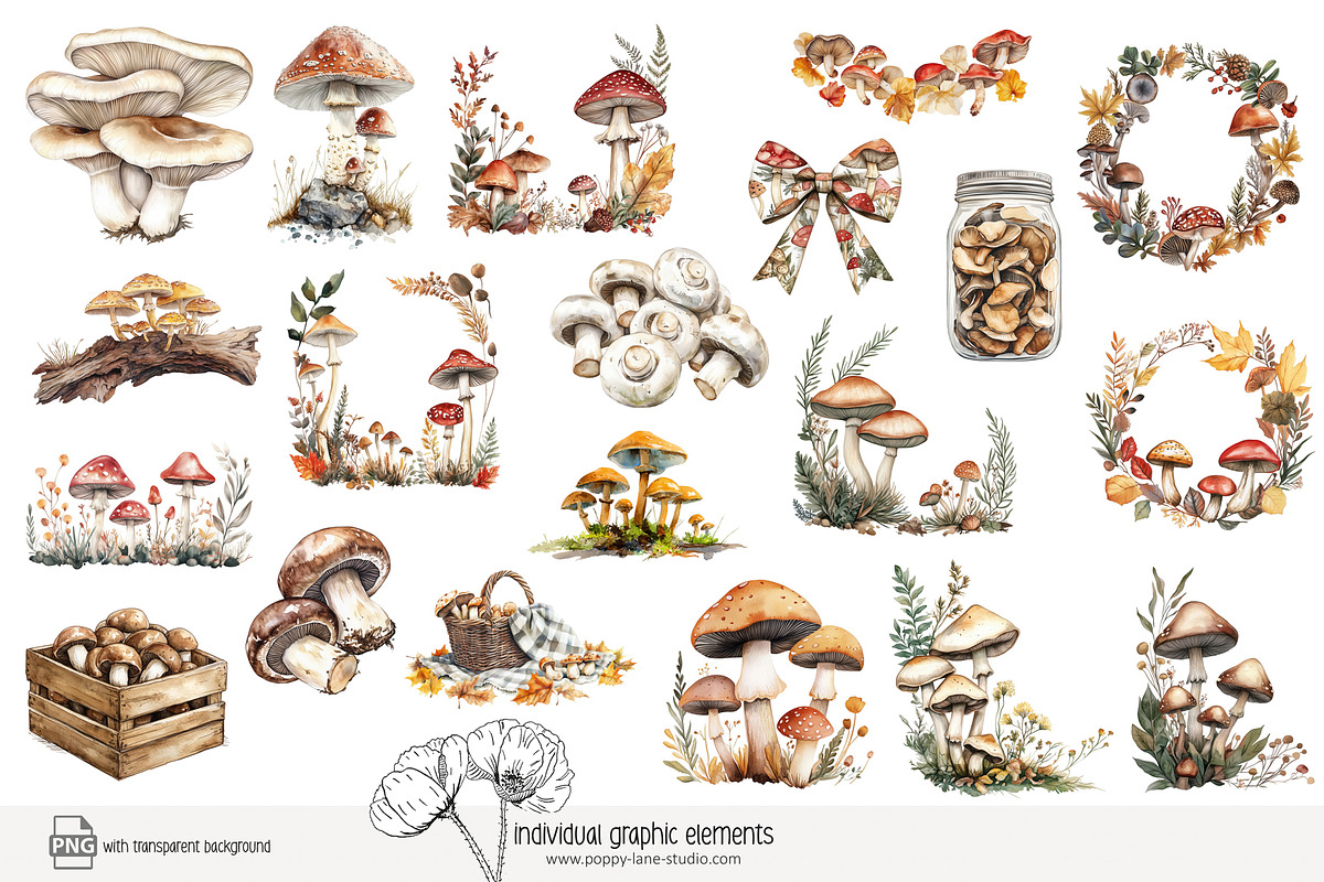 100 autumn mushroom clip art, a Seasonal Illustration by Poppy Lane Studio (Photo 9 of 11)
