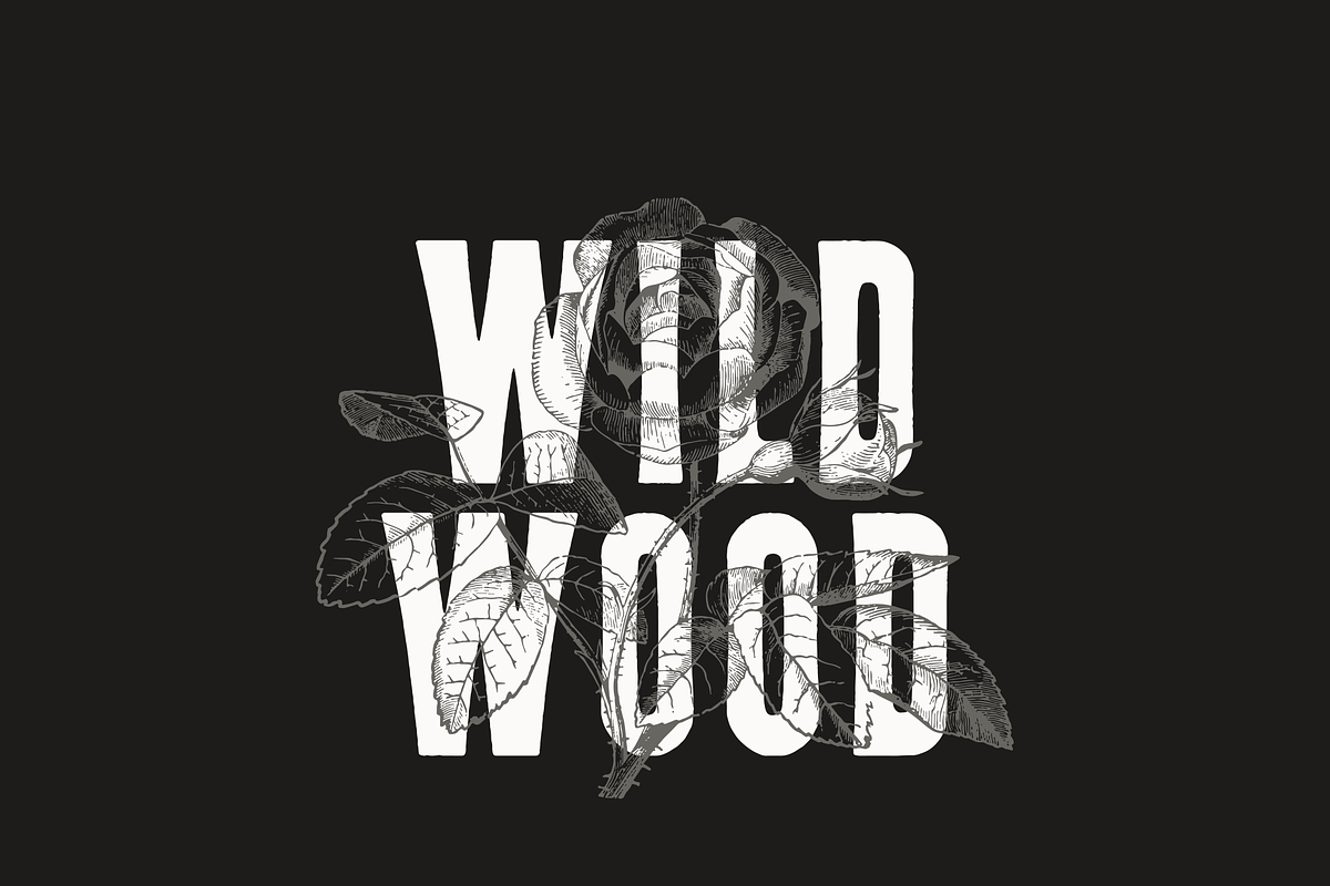 Wildwood, a Font by Pale Horse (Photo 2 of 5)