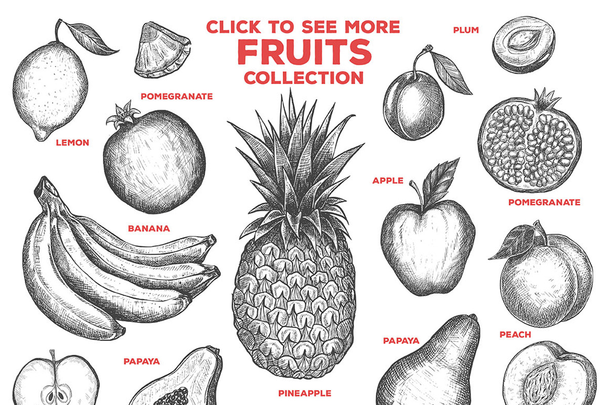 Fruits Illustrations, an Illustration by PicByKate (Photo 2 of 6)