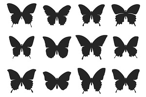 Silhoette Buterfly Set. Isolated