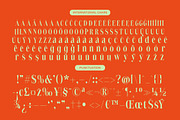 Delivery Feedback Modern Serif, a Serif Font by timelesstype.co (Thumbnail 18 of 20)