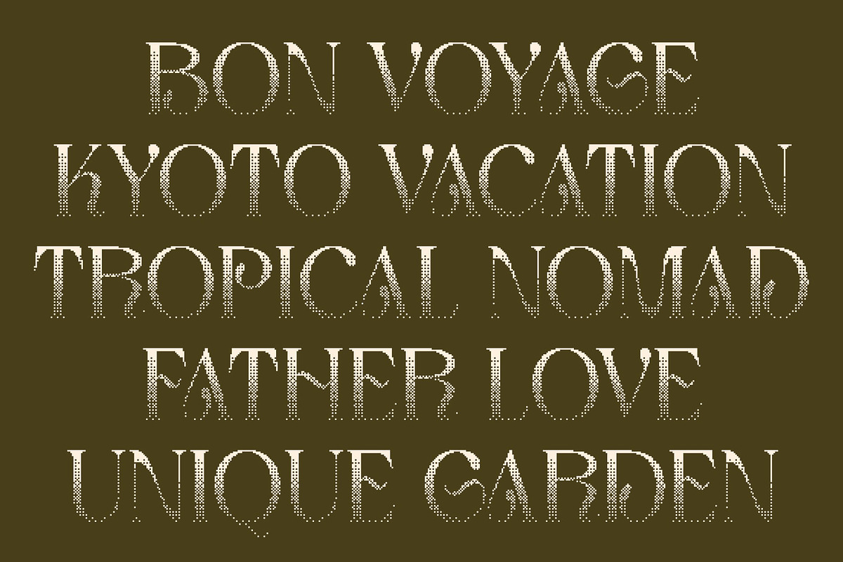 Aquene Halfpixel, a Serif Font by Craft Supply Co. (Photo 4 of 8)