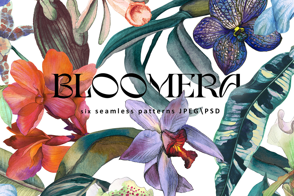 Bloomera. Seamless patterns, a Pattern Graphic by emeraldthue (Photo 1 of 8)