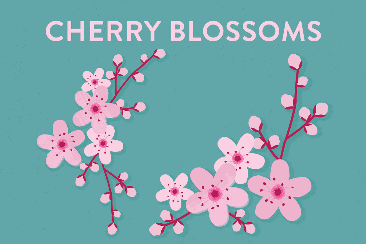 Vector Cherry Blossom Flowers, an Illustration by Sarah Hearts (Photo 1 of 3)