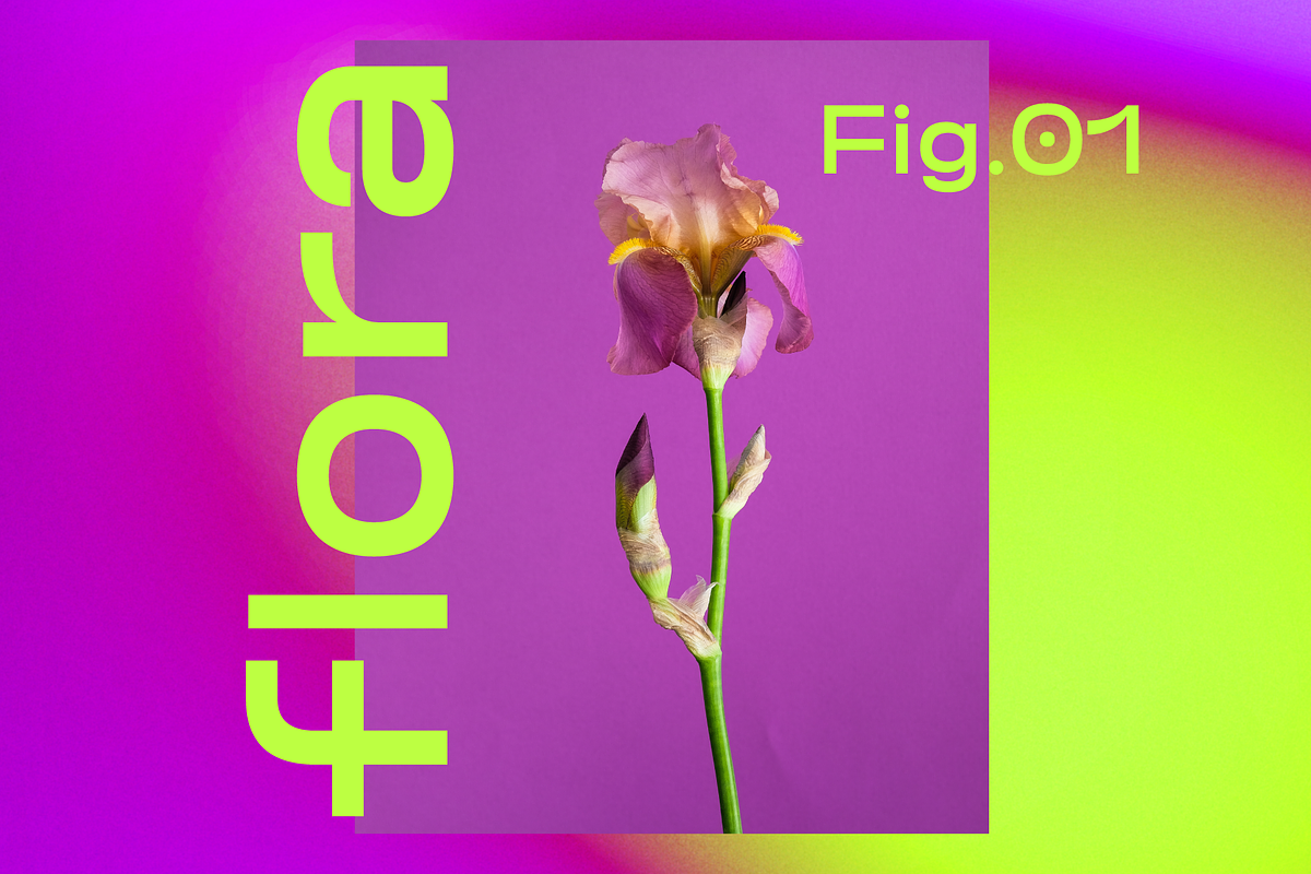 Animated Gradient Texture Pack, a Texture Graphic by That That Creative (Photo 3 of 23)