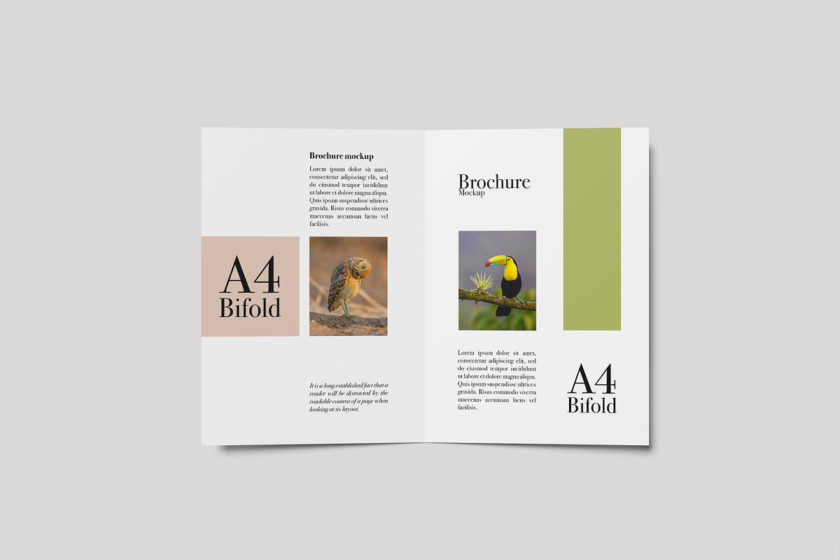 8 PSD - Brochure A4 Bifold Mockup, a Print Template by rahmatmoscae (Photo 3 of 8)