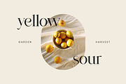 Agathias Stenchy Modern Serif Font, a Serif Font by UICreative (Thumbnail 9 of 9)