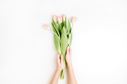 Tulips bouquet in female hands, a Holiday Photo by Floral Deco