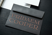 Color font PridaEm, a Serif Font by glukfonts (Thumbnail 3 of 7)