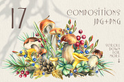 Mushrooms edible forest watercolor, an Object Graphic by NATASHA CHU (Thumbnail 4 of 11)