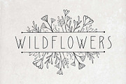 90 Botanical Stamps for Procreate, a Brush Add-On by Kiap (Thumbnail 5 of 6)