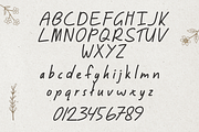 Rosvera - Handwritten Font, a Handwritten Font by portype (Thumbnail 15 of 16)