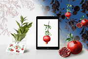 Pomegranate Watercolor Patterns, an Illustration by IrynaPanashii (Thumbnail 5 of 12)