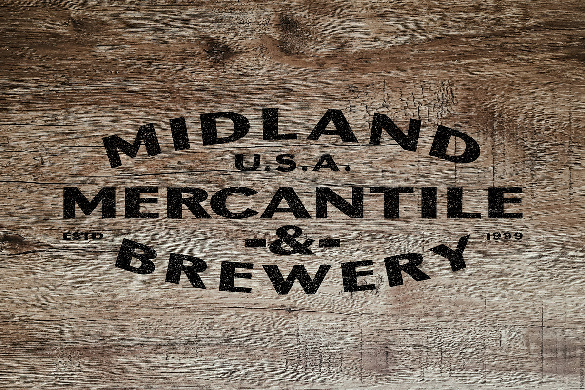 Badge Sans | Vintage Display, a Sans Serif Font by StudioWorks (Photo 8 of 10)