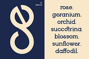 Brenzo - Slab Serif, a Slab Serif Font by Valentino Vergan (Thumbnail 20 of 20)