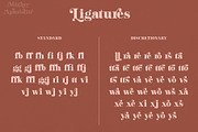 Mighty Aphrodite // A Classy Serif, a Serif Font by Megs Lang (Thumbnail 17 of 22)