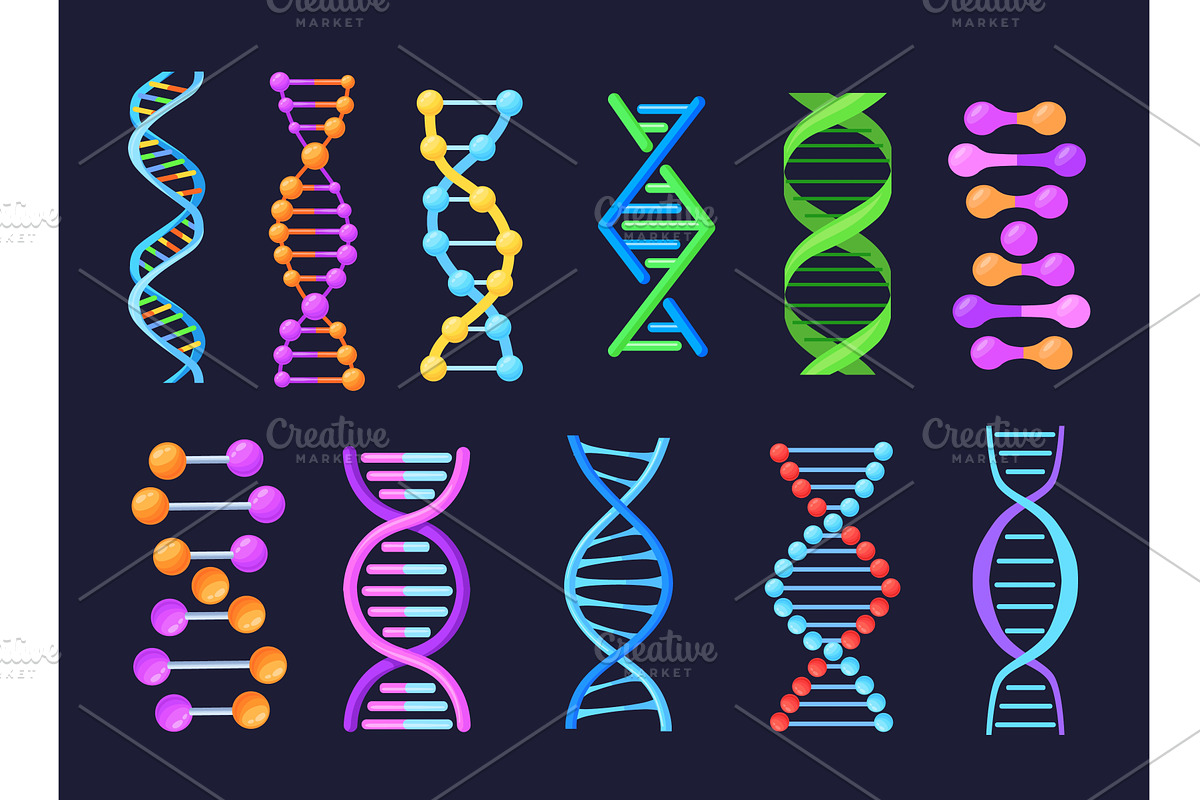Dna helix model. Genetic strings, an Illustration by Stock-Smart-Start
