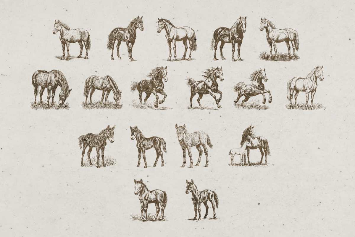Farm Animals Illustrations, an Animal Illustration by Nocturnal Wolf (Photo 13 of 14)