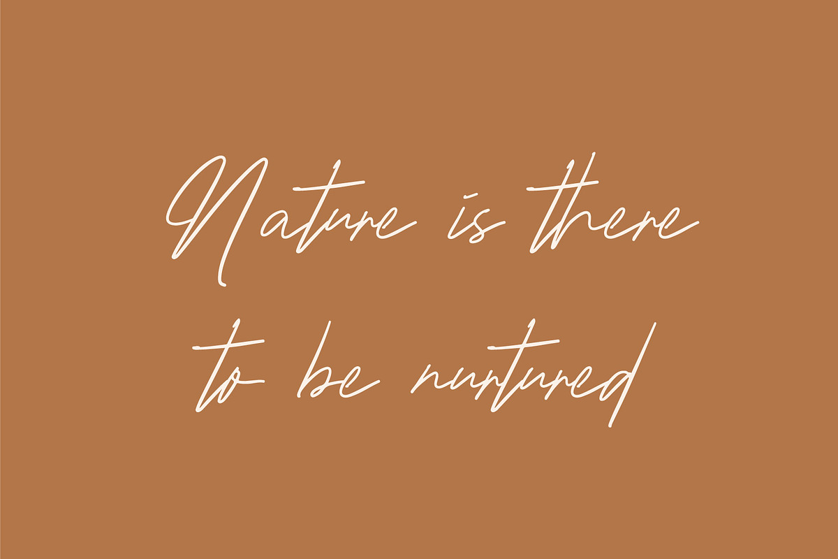 Teather Signature, a Script Font by Pustudio (Photo 5 of 6)