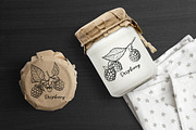 Raspberry | Line art & Color vector, a Decorative Illustration by Dervik Art Store (Thumbnail 4 of 8)
