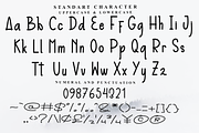 Beautiful Handwriting, a Script Font by FreshTypeINK (Thumbnail 7 of 7)