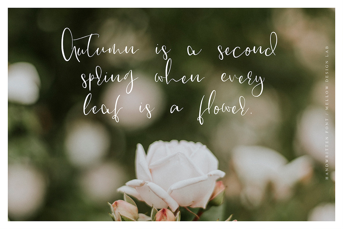 Lovely Day Script preview 6