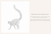 Ring-Tailed Lemur Illustration - PNG, an Animal Illustration by LaurenFittonIllustration (Thumbnail 7 of 8)