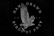 12 Bird of Prey Illustration, an Animal Illustration by Oban Jones (Thumbnail 1 of 5)