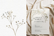 Gypsophila clipart, Baby Breath PNG, a Decorative Illustration by Invite to Clipart (Thumbnail 4 of 7)