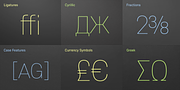 Core Sans E, a Sans Serif Font by S-Core (Thumbnail 5 of 5)