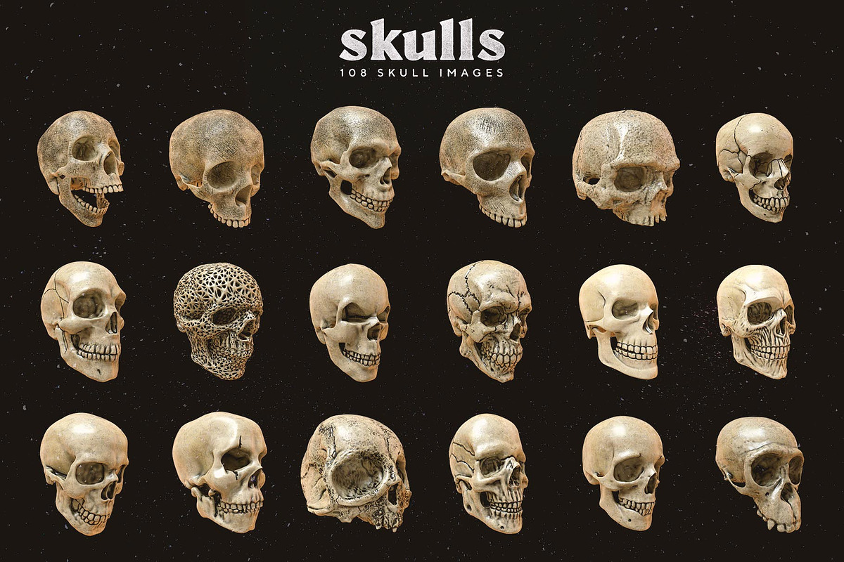 Skulls: 108 Skull Images, an Object Graphic by RuleByArt (Photo 14 of 16)