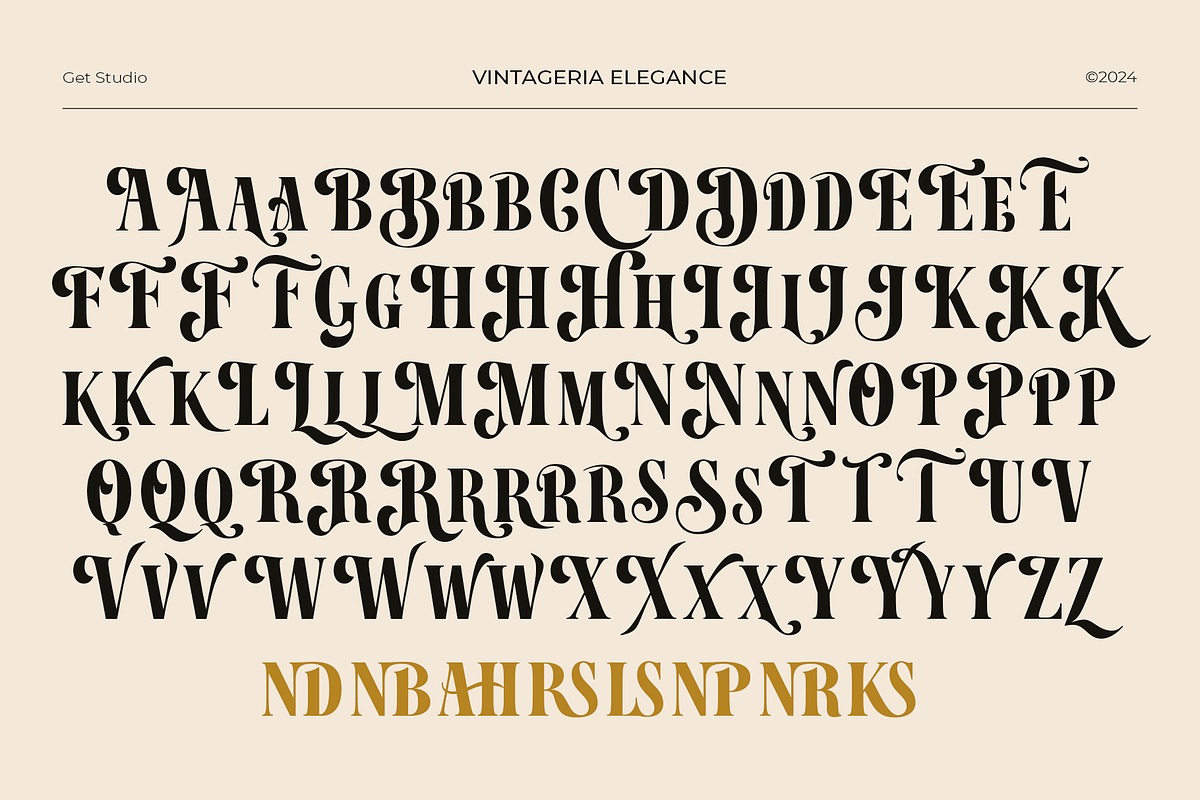Vintageria Elegance, a Serif Font by Get Studio (Photo 17 of 17)