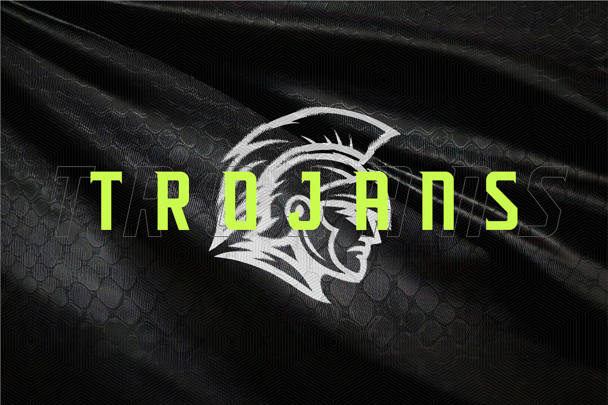 Triton Pro: Sports Font Family, a Sans Serif Font by ANDR35 (Photo 9 of 12)