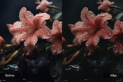 Dark Atmosphere Preset Pack, a Preset Add-On by MadeRed (Thumbnail 2 of 11)