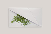 Envelope box mock up, a Packaging Mockup by Yapanda (Thumbnail 1 of 4)