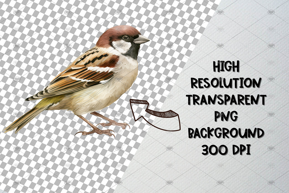 Watercolor Sparrow Clipart Set, an Animal Illustration by CropUp Creative (Photo 3 of 5)