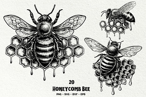 Honeycomb Bee SVG Graphics