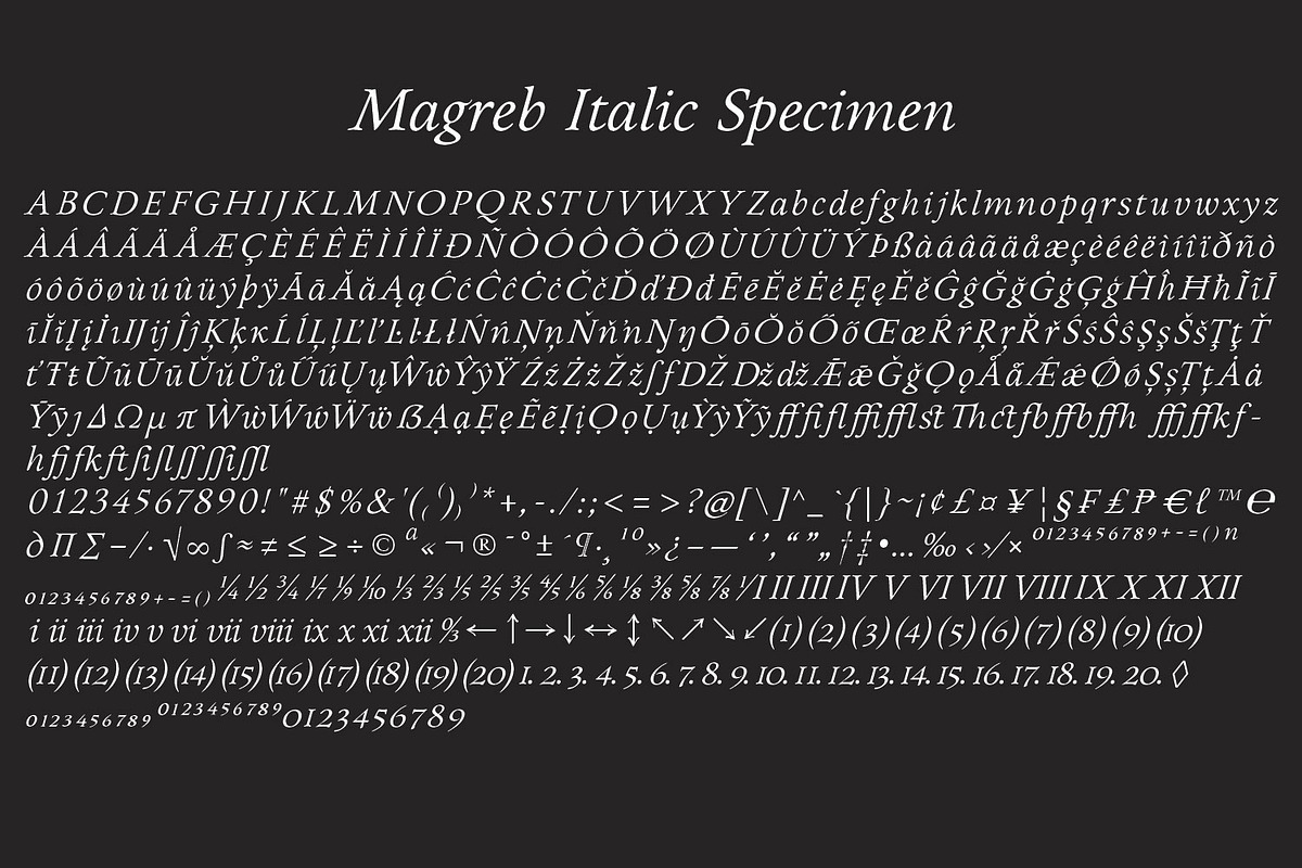 Magreb - Exquisite Serif Family, a Serif Font by Ridha-38.lineart (Photo 10 of 10)