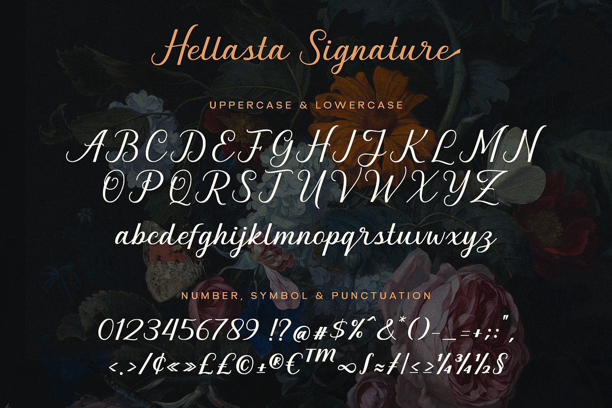Graceful Nostagia Script Font, a Script Font by Siwox Studios (Photo 7 of 10)