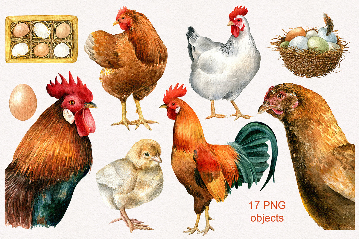 Farm birds.Watercolor set, an Animal Illustration by Nastilustra (Photo 2 of 4)