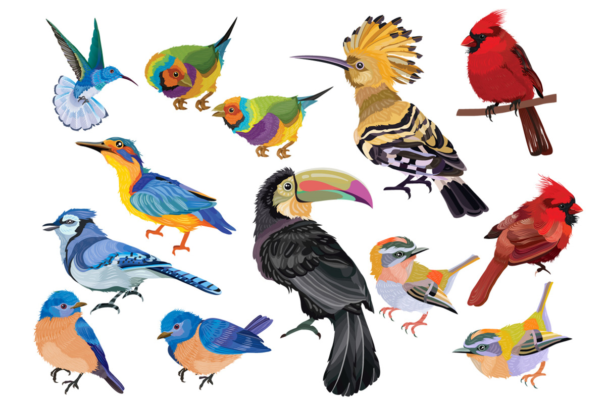 Bird vector set, an Illustration by Kopirin (Photo 6 of 8)