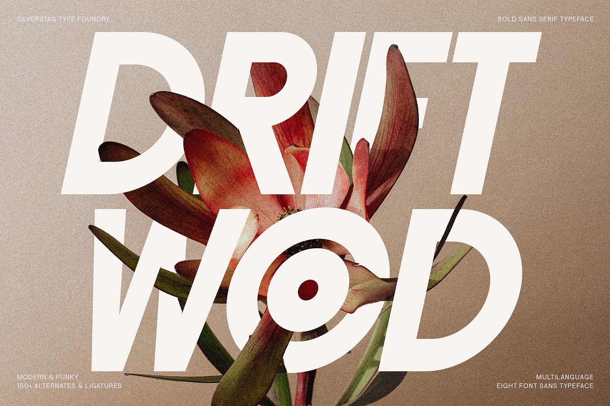 ROCKFALL - Bold Ligature Typeface, a Sans Serif Font by SilverStag Type Foundry (Photo 15 of 30)