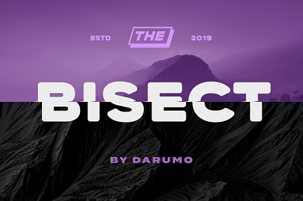 Bisect Font, a Font by Darumo Shop