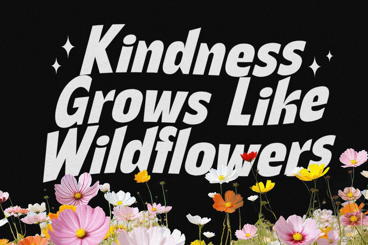 Bellforge Bold Sans, a Sans Serif Font by Letterhend Studio (Photo 3 of 9)