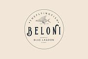 Golden Cape Font + Bonus, a Serif Font by Emyself Design (Thumbnail 4 of 10)